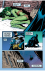 Batman: No Man's Land: #0 / Бэтмен: Ничья Земля: #0