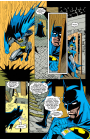 Batman: Shadow of the Bat: #10 / Бэтмен: Тень Летучей Мыши: #10
