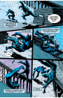Batman: Shadow of the Bat: #29 / Бэтмен: Тень Летучей Мыши: #29