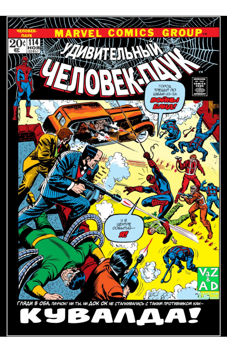 Amazing Spider-Man: #114 / Удивительный Человек-Паук: #114