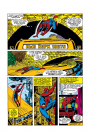 Amazing Spider-Man: #119 / Удивительный Человек-Паук: #119