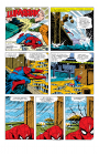 Amazing Spider-Man: #217 / Удивительный Человек-Паук: #217